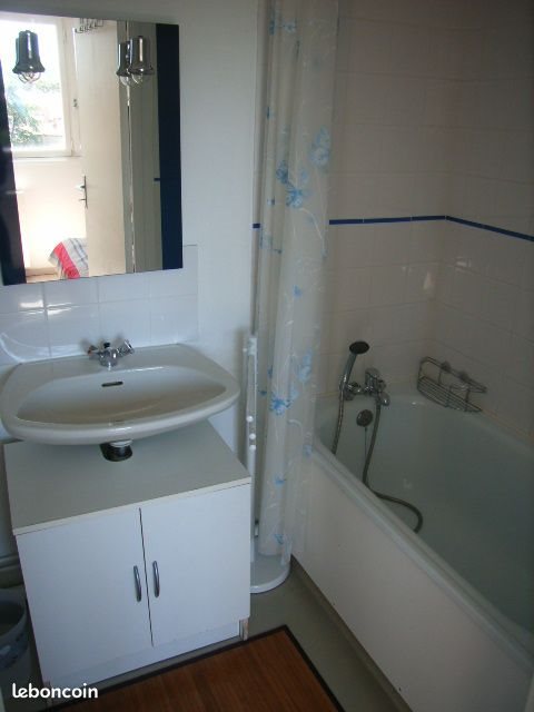 Appartement à louer, 19m², Albi