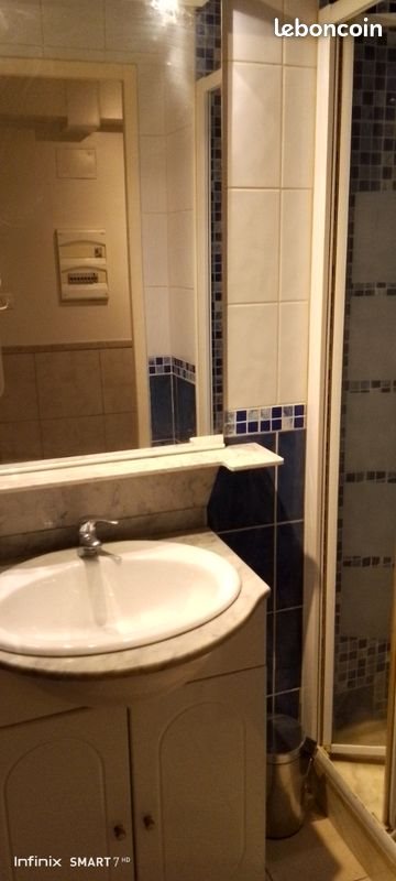 Appartement à louer, 24m², Sainte-Foy-lès-Lyon