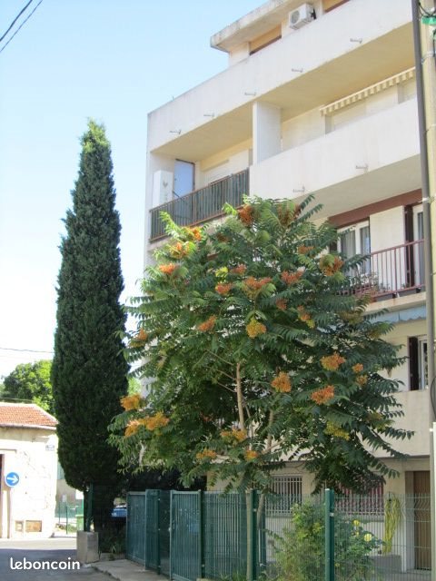 Appartement à vendre, 55m², Nîmes