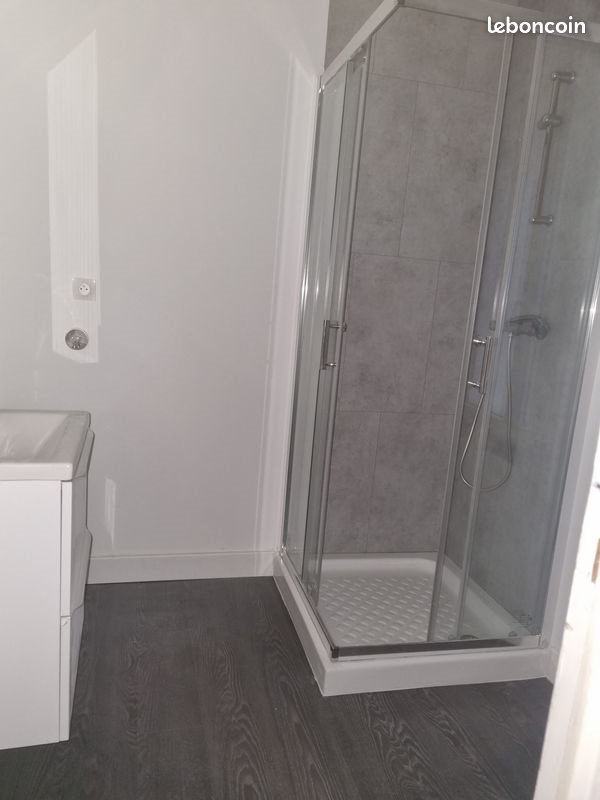 Appartement à louer, 25m², Nancy
