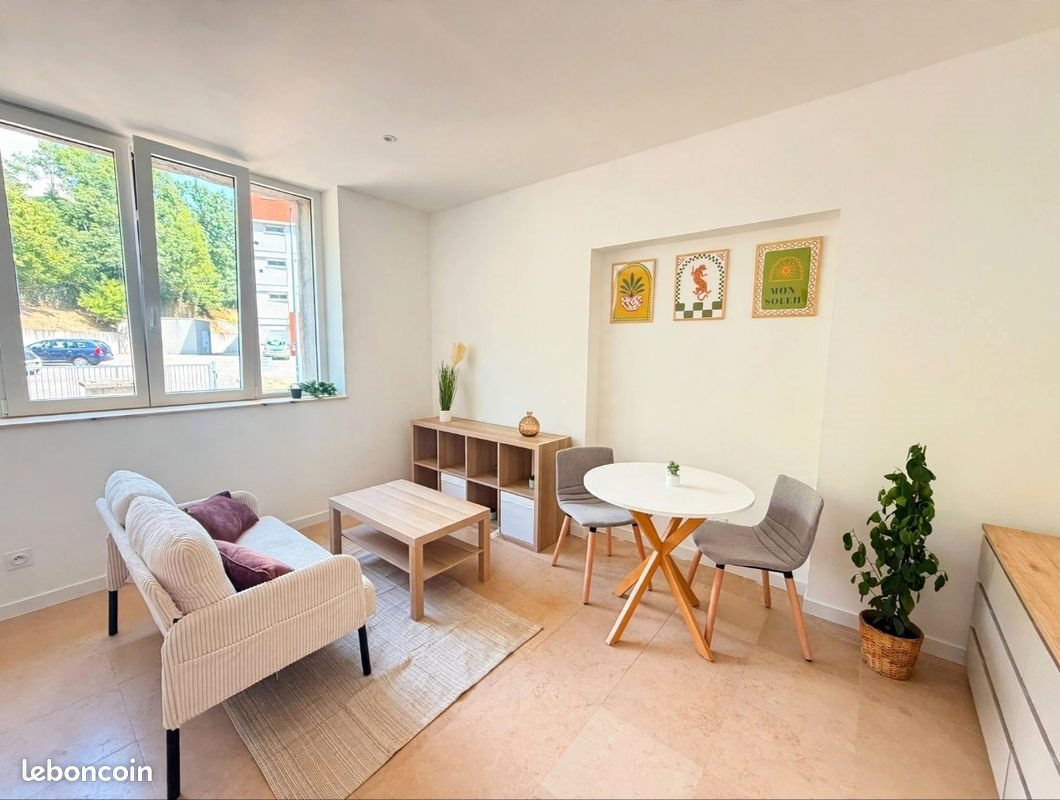Appartement à louer, 25m², Saint-Étienne