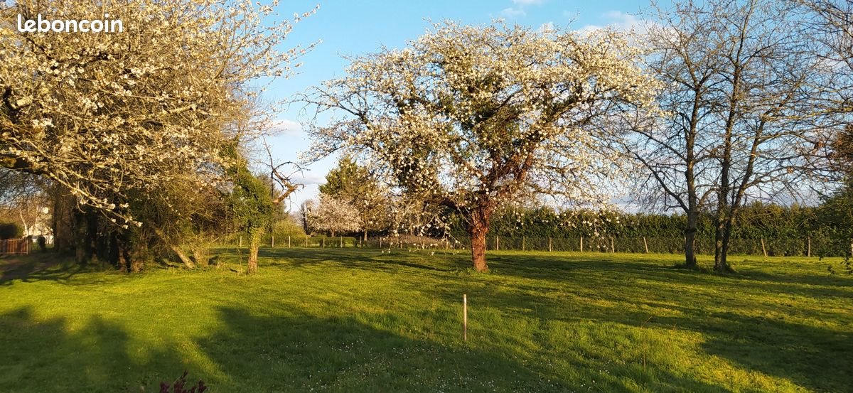Maison à vendre, 90m², Neuvy-sur-Loire