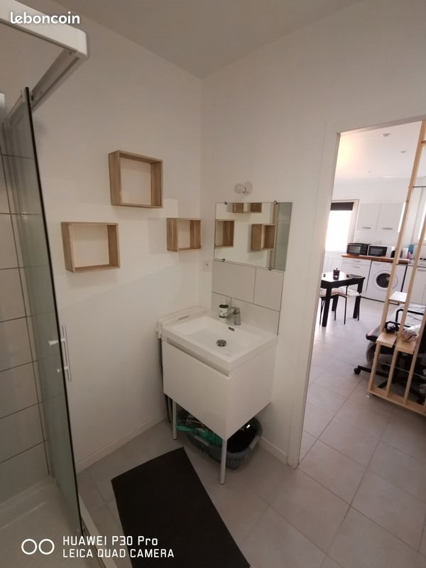 Appartement à louer, 25m², La Flèche