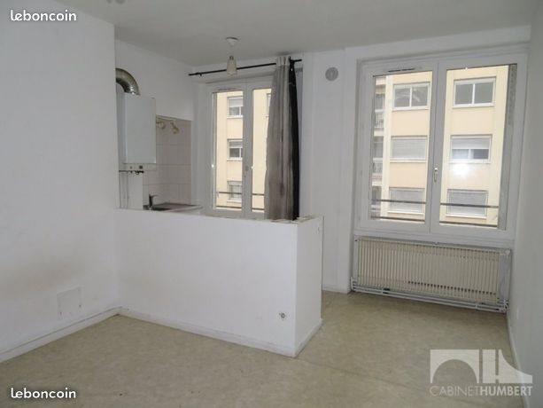 Appartement à vendre, 37m², Saint-Étienne