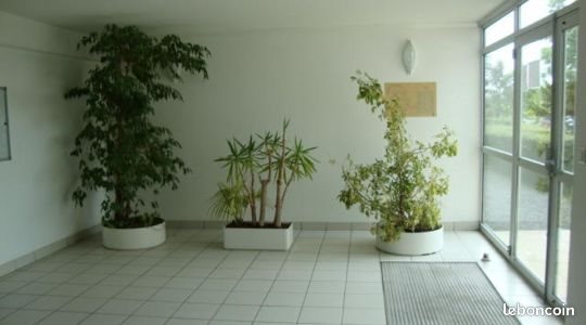 Appartement à louer, 19m², Reims