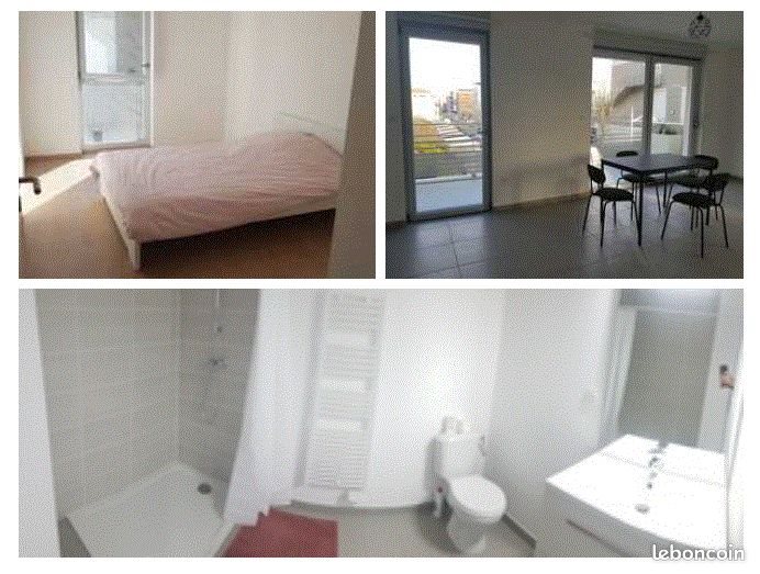 Appartement à louer, 50m², Nancy