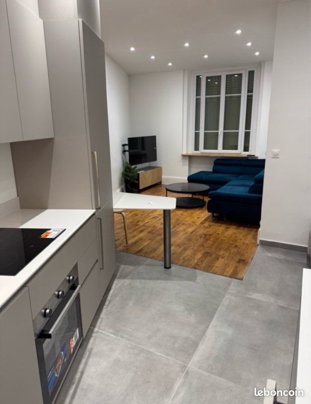 Appartement à louer, 39m², Lyon 3ème
