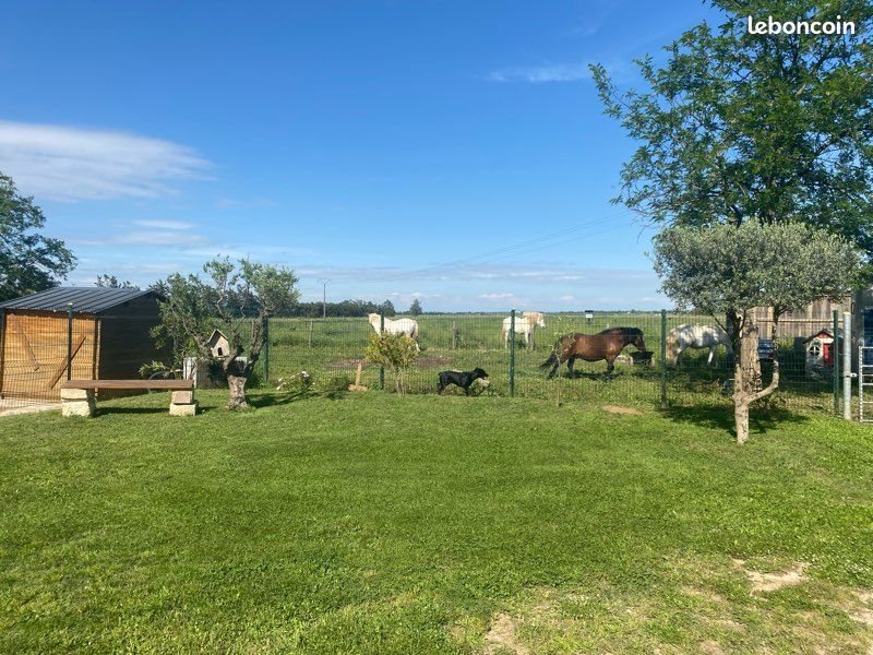 Maison à louer, 97m², Vestric-et-Candiac