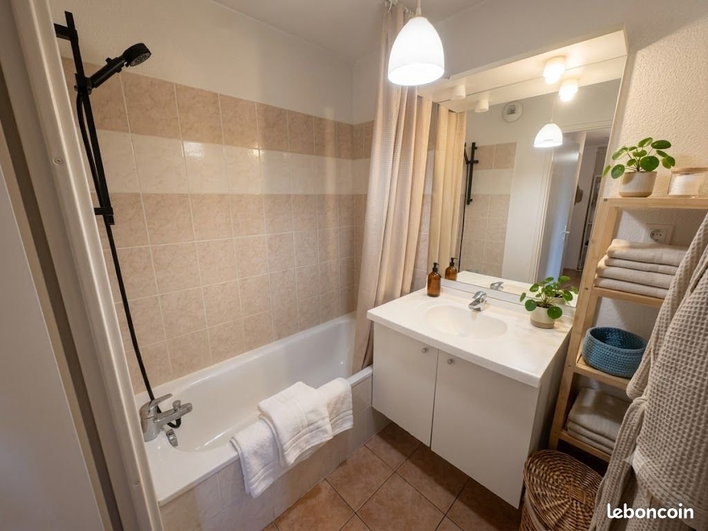 Appartement à louer, 53m², Albi