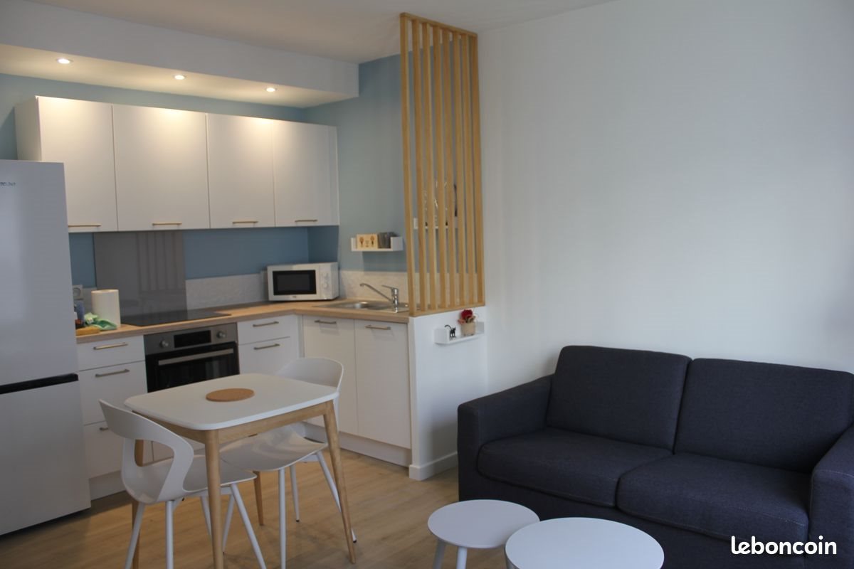 Appartement à louer, 37m², Grenoble