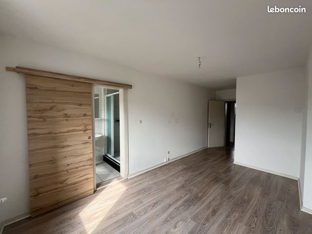 Appartement à louer, 120m², Sarreguemines