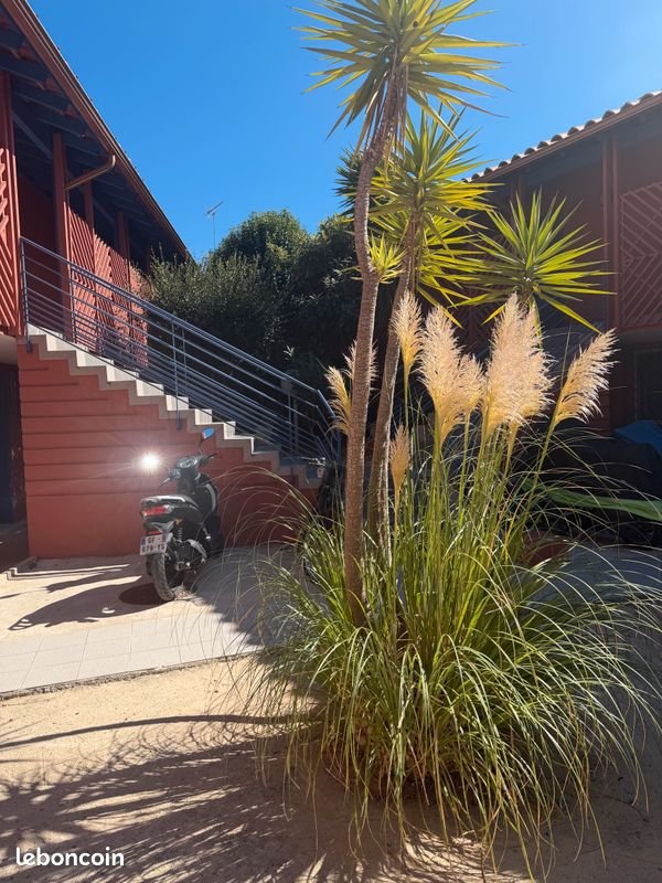 Appartement à louer, 40m², Pérols