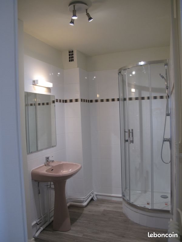 Appartement à louer, 49m², Lyon 7ème