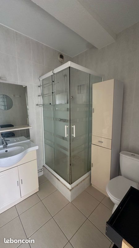 Appartement à louer, 35m², Villeurbanne