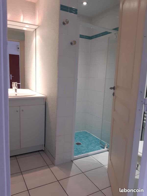 Appartement à louer, 55m², Tours