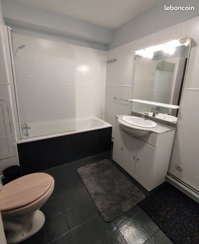 Appartement à louer, 50m², Bourges
