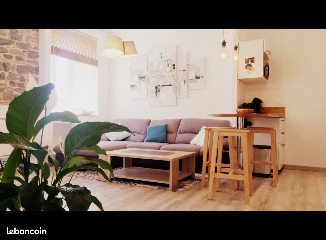 Appartement à louer, 35m², Millau
