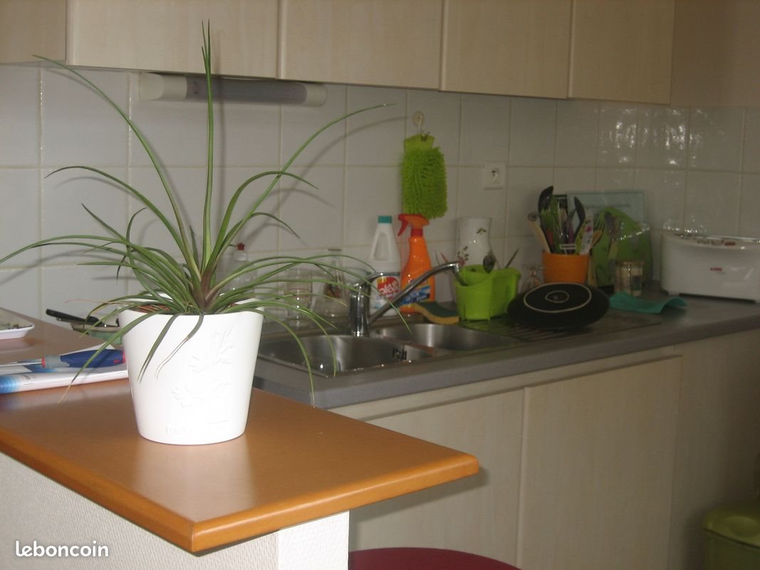 Appartement à louer, 80m², Quintin