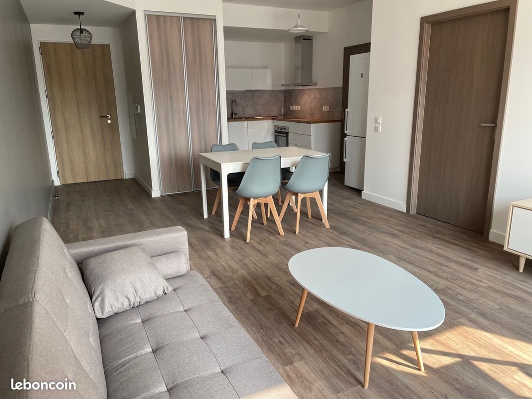 Appartement à louer, 52m², Pau