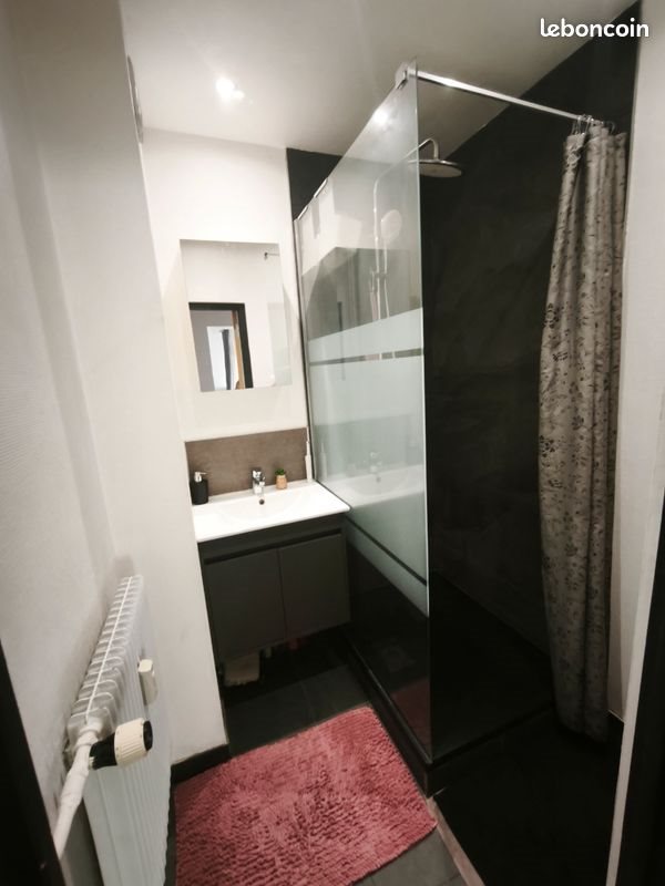 Appartement à louer, 45m², Colmar