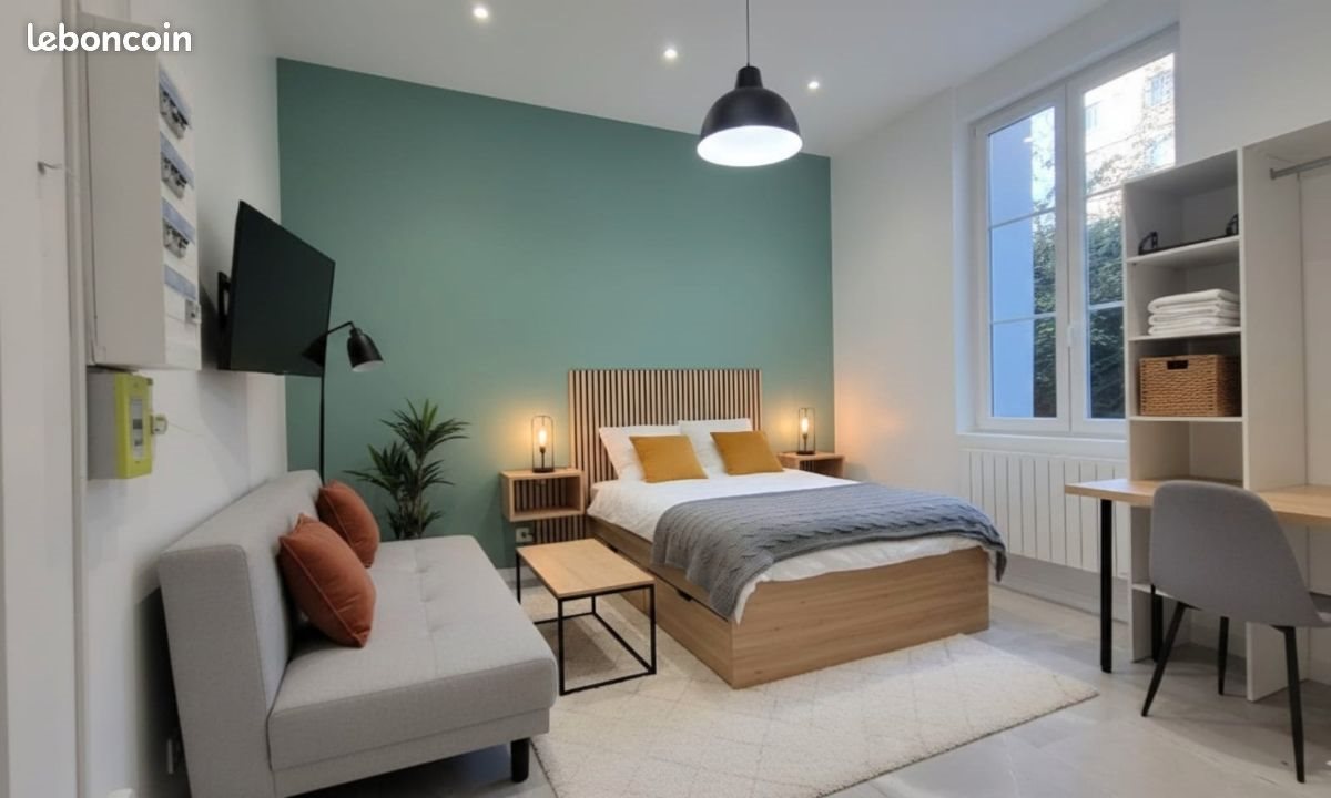 Appartement à louer, 20m², Saint-Étienne
