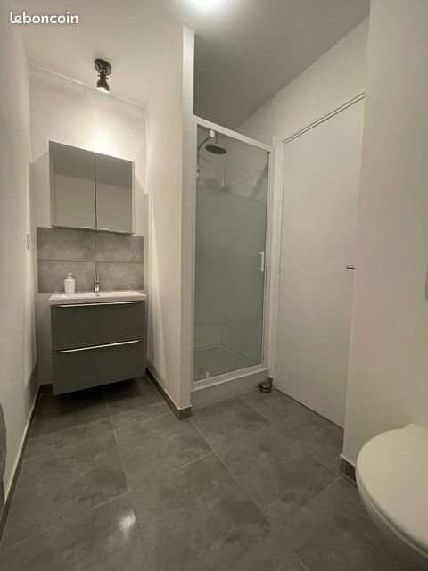 Appartement à louer, 40m², Roanne