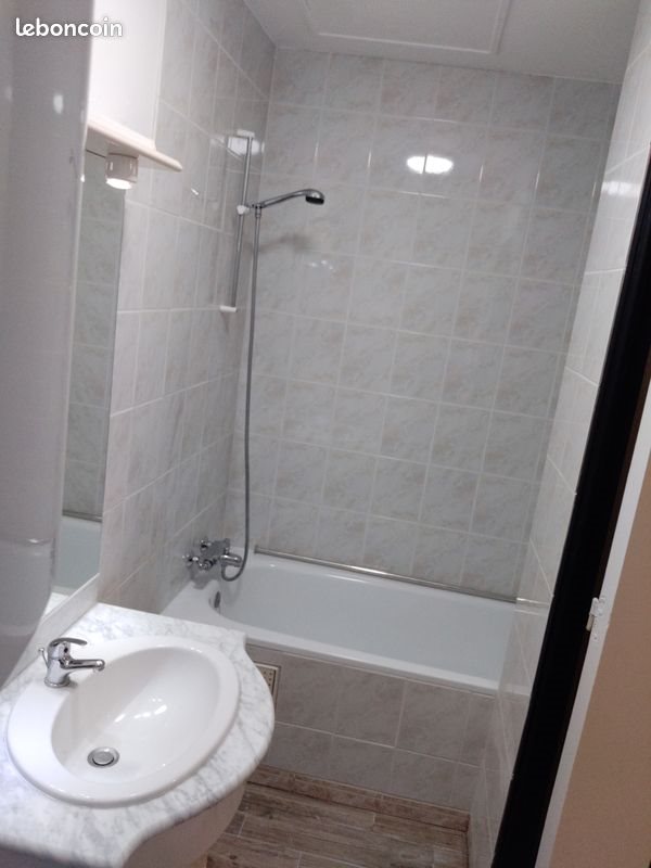 Appartement à louer, 30m², Lille