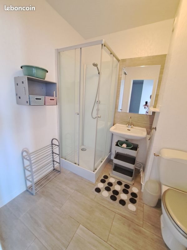 Appartement à louer, 32m², Saint-Etienne