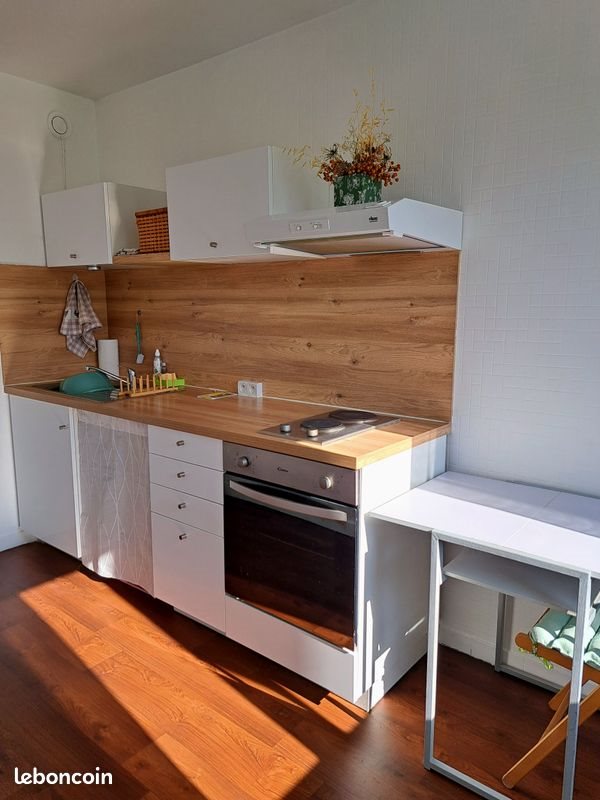 Appartement à louer, 32m², Saint-Etienne