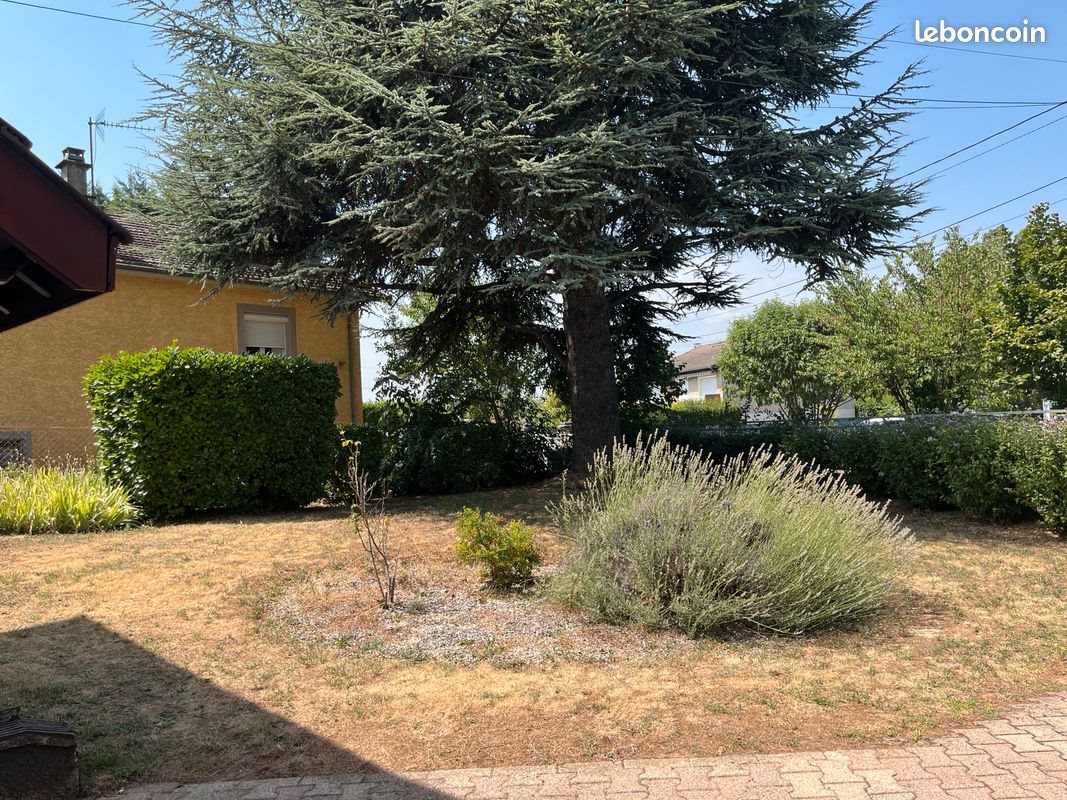 Maison à louer, 30m², Feyzin