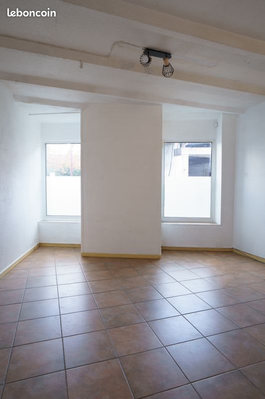 Appartement à louer, 59m², Bollwiller