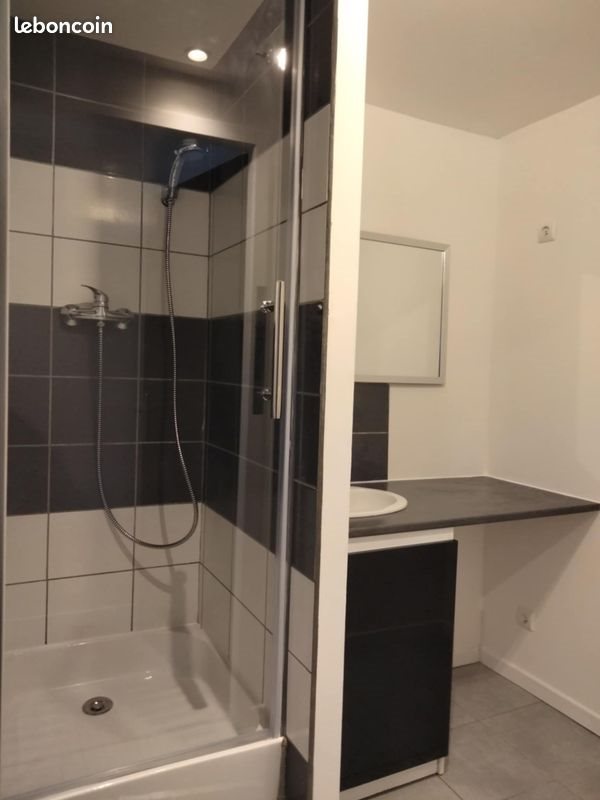 Appartement à louer, 50m², Thiers