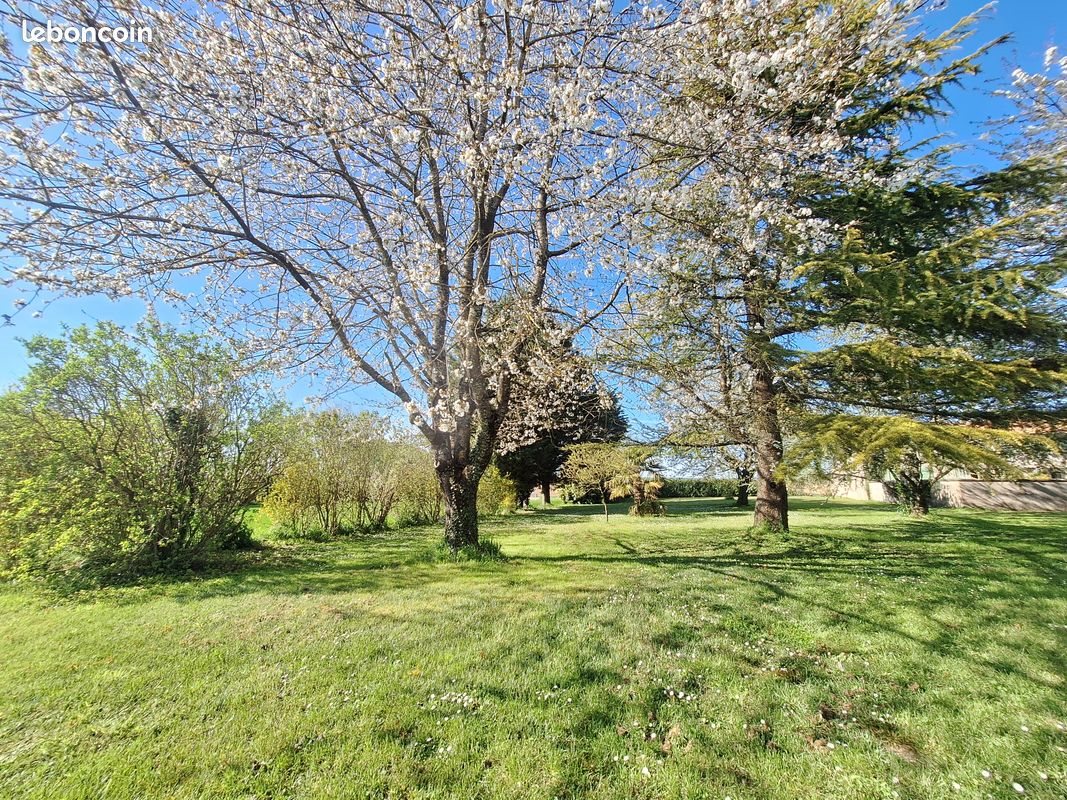 Maison à vendre, 209m², Brettes