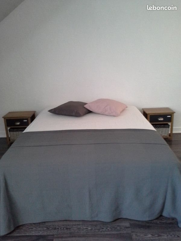 Appartement à louer, 48m², Joué-lès-Tours