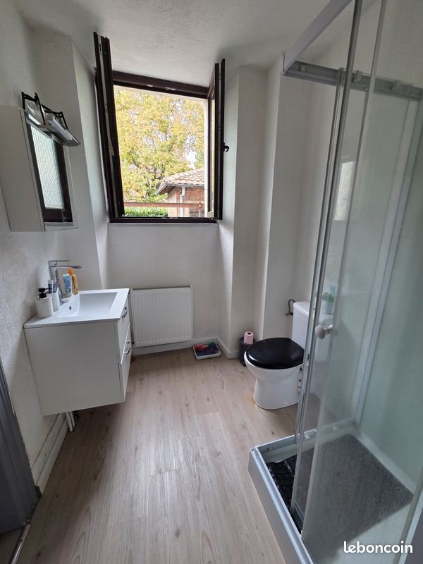 Appartement à louer, 43m², Mulhouse