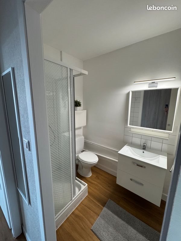 Appartement à louer, 31m², Colmar
