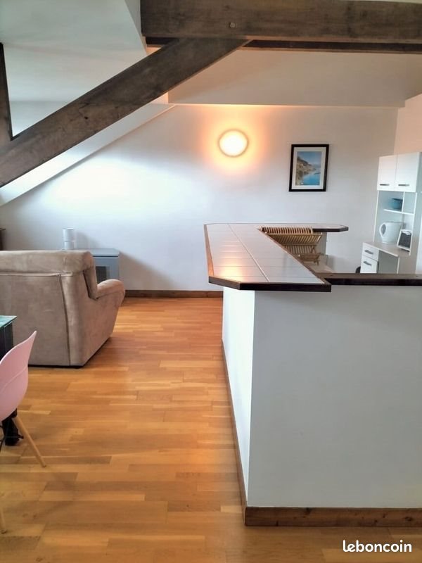Appartement à louer, 50m², Châteauroux