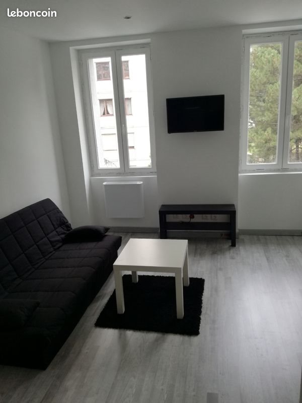 Appartement à louer, 20m², Saint-Etienne