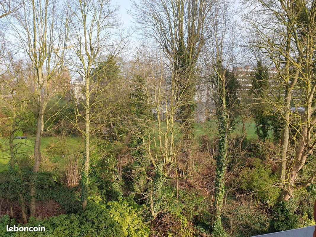 Appartement à louer, 40m², Croix