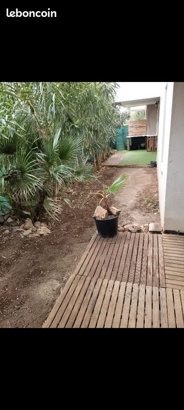 Appartement à louer, 60m², Béziers