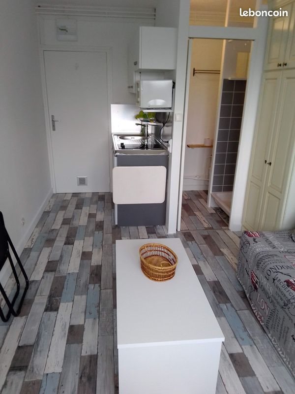 Appartement à louer, 15m², Sainte-Foy-lès-Lyon