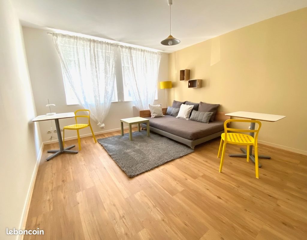 Appartement à louer, 27m², Saint-Etienne