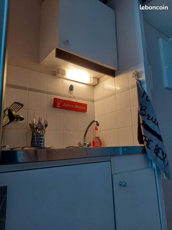 Appartement à louer, 18m², Bruz
