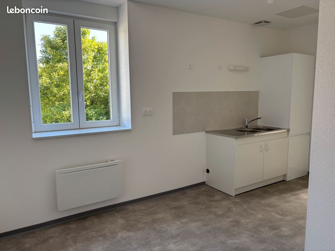Appartement à louer, 43m², Mulhouse