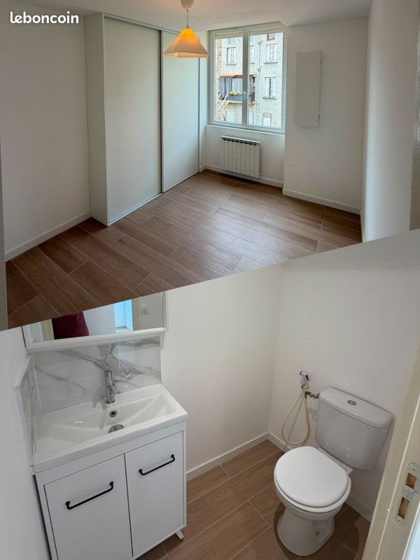 Appartement à louer, 40m², Saint-Etienne