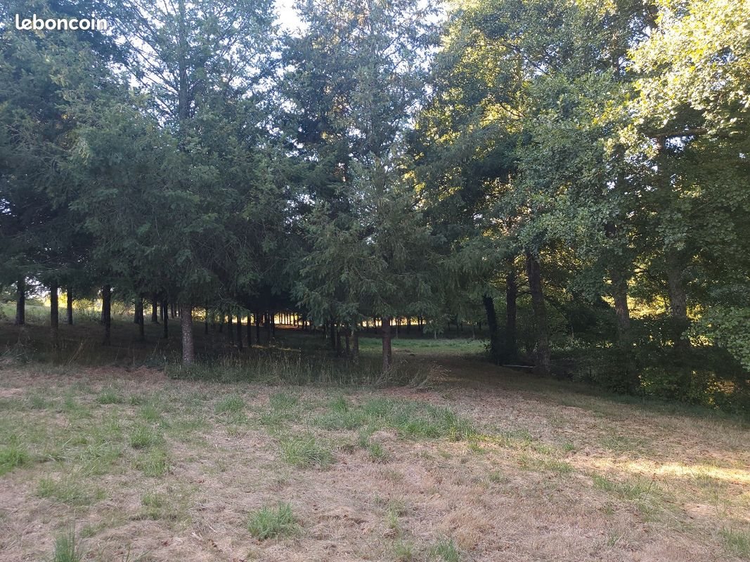 Maison à vendre, 90m², Les Salles-Lavauguyon