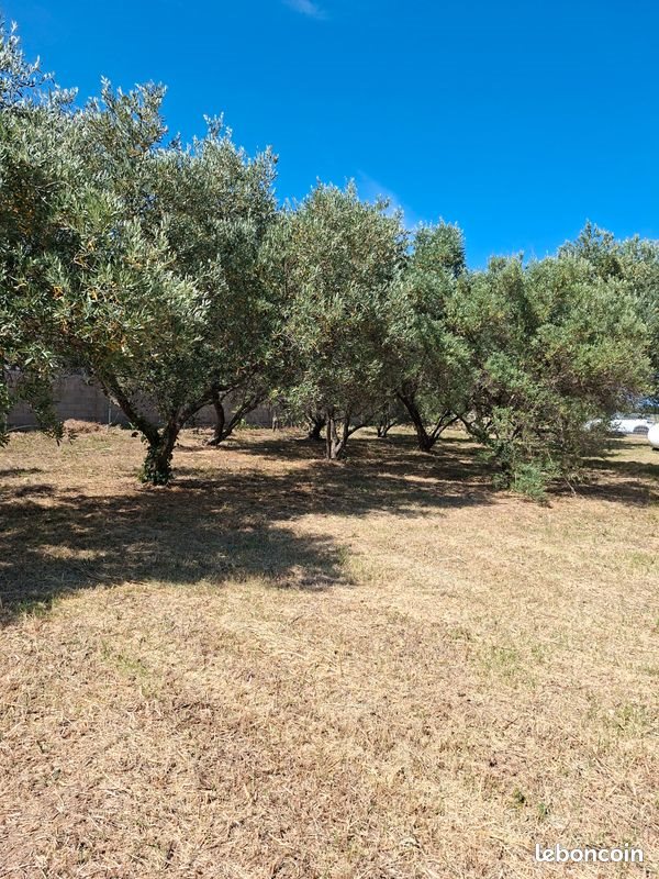 Maison à vendre, 155m², Montesquieu-des-Albères