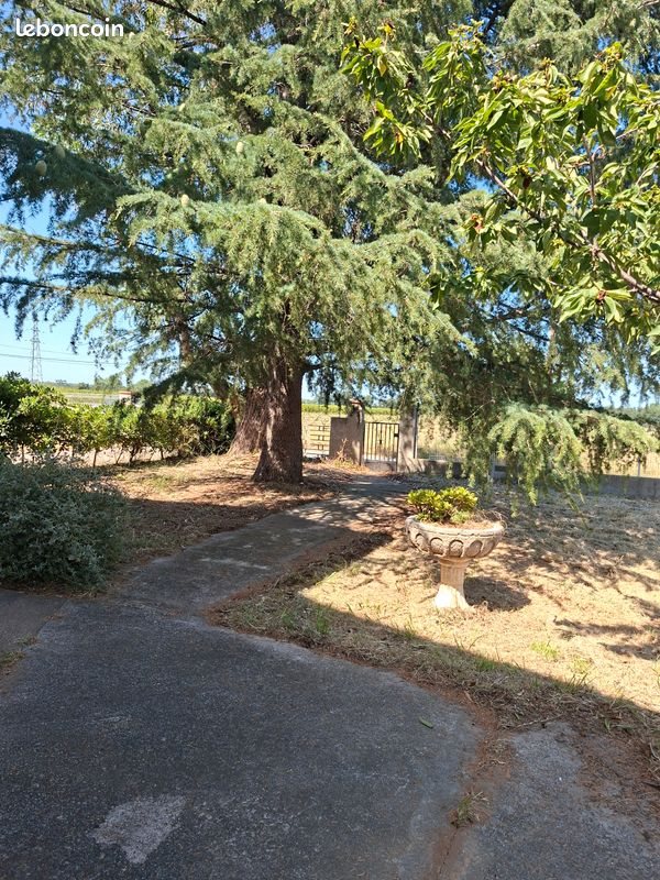 Maison à vendre, 155m², Montesquieu-des-Albères