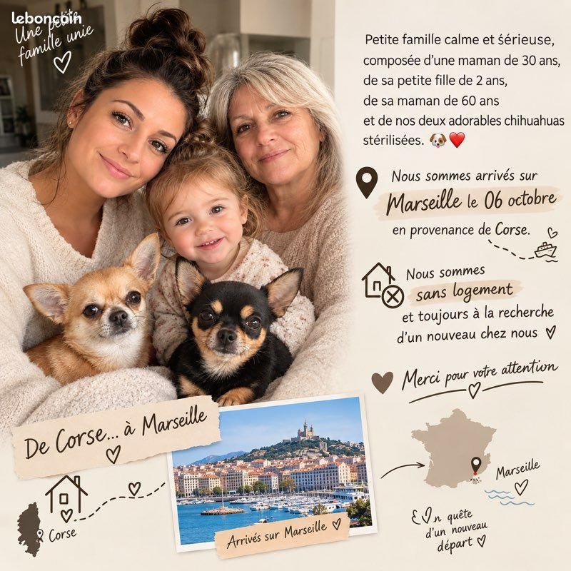 Appartement à louer, 50m², Marseille 12ème