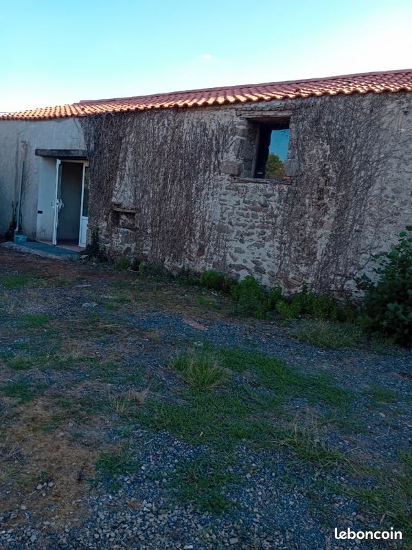 Maison à louer, 65m², Montaigu